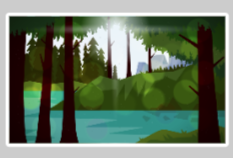 Forest Landscape