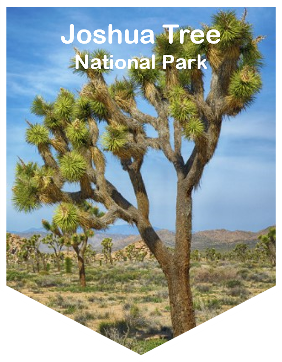 Joshua Tree National Park Magnet