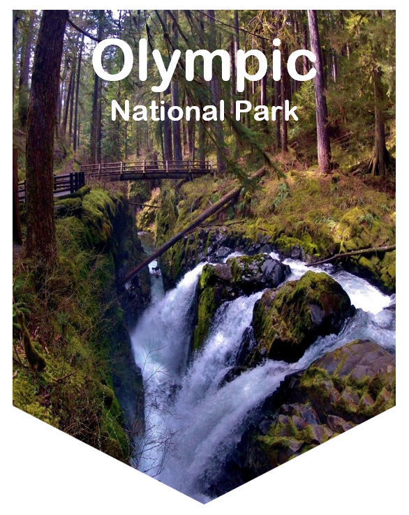 Olympic National Park Magnet