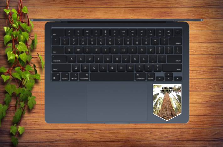 Sequoia National Park - Image 2